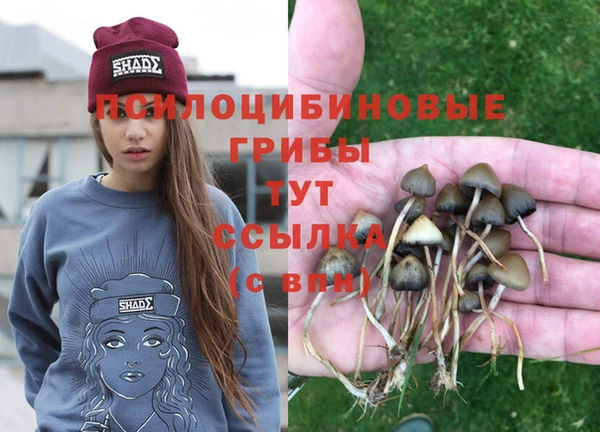 крисы Алексин