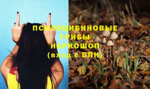 крисы Алексин