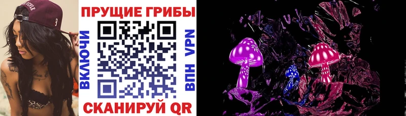 Галлюциногенные грибы GOLDEN TEACHER как найти Цимлянск